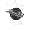Harmoniciste Musicien Harmonica