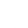 Skull in the Darkness