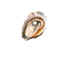 Oyster Gifts