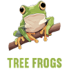 Tree Frog Baumfrösche Baumfrosch