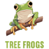 Tree Frog Baumfrösche Baumfrosch
