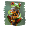 Tree Frog Baumfrösche Baumfrosch