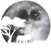 Lion in the moonlight
