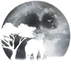 Elephant in moonlight