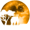 Elefant im Mondschein