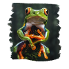 Tree Frog Baumfrösche Baumfrosch