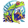 Tree Frog Baumfrösche Baumfrosch