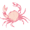 Crab