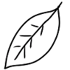 leaf icon shape leaves nature