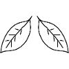 zwei Blätter blatt symbol