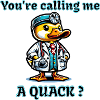 Quack Enten Design