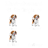 L'entraînement du Beagle amusant