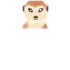 Suricate