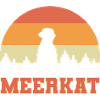Meerkat