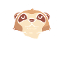 Suricate