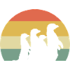Suricate