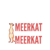 Suricate