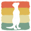 Suricate