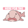 Cute Blob Fish Ugly Fish