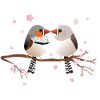 Mignons pinsons zébrés bulbeux