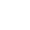 Pelicans Bird Birds Pelecanus