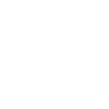 Pelicans Bird Birds Pelecanus