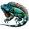 Iguana
