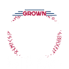 Muscular American Norse Viking