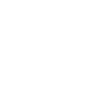 Pélicans Oiseaux Oiseaux Pelecanus