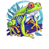 Rainette Baumfrösche Baumfrosch
