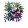 Rainette Baumfrösche Baumfrosch