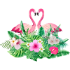 Team bride flamingo tropical