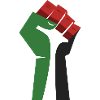 Il pugno alzato (verde, bianco, nero, rosso)