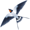 Oiseau hirondelle Illustration / Graphique
