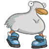 duck