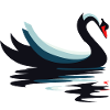 Cygne nageur