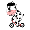 Vélo de vache