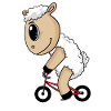 Vélo de mouton