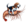Beagle rides on shrimp