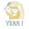 Cool Hedgehog Sunglasses Brush