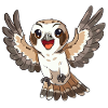 Joyful Falcon Spreading Wings