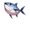 Tuna Thunfische Thunfisch