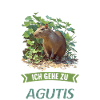 Agouti Agutis Aguti