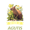 Agouti Agutis Aguti