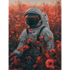 Poster Astronaut 2