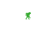 Évolution allemande