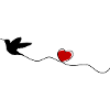 Hummingbird Bird Heart