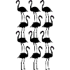 Flamingos Animals Symbolism