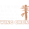 Wing Chun Martial Arts Gift