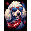 Cool Poodle with Sunglasses